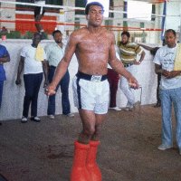 Khalil (@oreo2k_) 's Twitter Profile