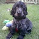 Jasmine~Hollie - @JasmineSlater29 - Twitter