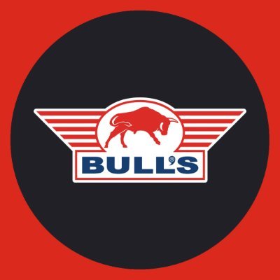 BullsDartsNL Profile Picture