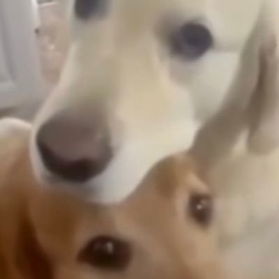 hadgyrcvgfcc's profile picture. Modern Day Philosophy