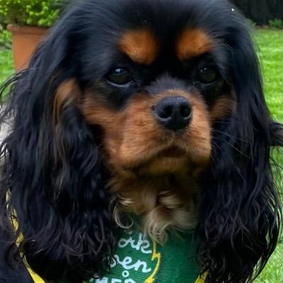 RenbergAnnika's profile picture. 