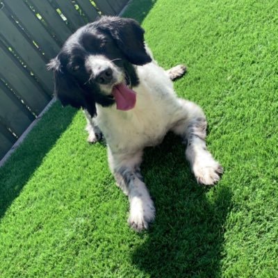 LisaArm41464044's profile picture. Clinical Trials Coordinator @AiredaleNHSFT - Rheumatology, MSK, Respiratory, Gastro. Wife, Mum, Plate Spinner - Life is a Gift - Live it ❤️