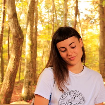 PhD student @ UMass Amherst (Spanish and Portuguese). Iberian cultural, literature, and film studies.