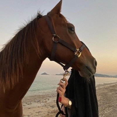 حساب مُهتم بتوفير تذاكر الفعاليات والحفلات والمباريات اتجاوب معكم و استقبل اسئلتكم واستفساراتكم بالخاص