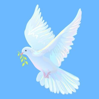 🕊🕊PEACE🕊🕊 Profile