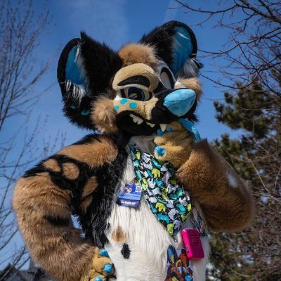 African Wild Dog | Motorcyclist | Mud | 34M | Owner of @cosplaycareco |

18+ Only 🔞

💍 @zell_infurno
👔 @morefurless
🏳@luiecockatiel
📸 @dire_walf