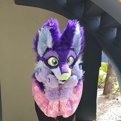 Gamer, Furry, decent novice fursuit maker.