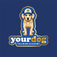 Yourdog(@yourdog_gr) 's Twitter Profile Photo