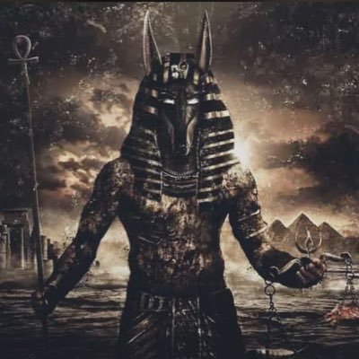 DcLoad's profile picture. 