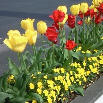 笑顔😊になると自分も相手の人もポジティブになる。