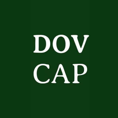 dovcapital's profile picture. Let me show you how to pick stocks on your own! My content is not investment advice!