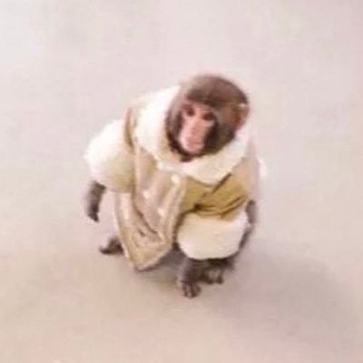 PaintConsumer86's profile picture. shmoney man