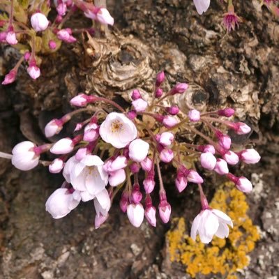 Barlmarg's profile picture. Just me. interested in the Arts and photography. see my Flickr account here. https://t.co/grHkSAEz7p. https://t.co/YnfQYW1bM2