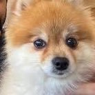 ElDucer's profile picture. 