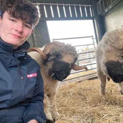 farm senior, love gorgie farm 🐷 #savegorgiefarm
