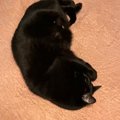 JTB4459's profile picture. 