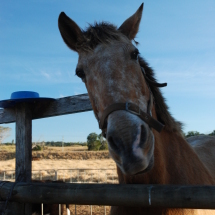 Chorlie_KT's profile picture. 趣味の写真、応援している川崎フロンターレの話題が多いです。時々は仕事にしている金融マーケットについても。