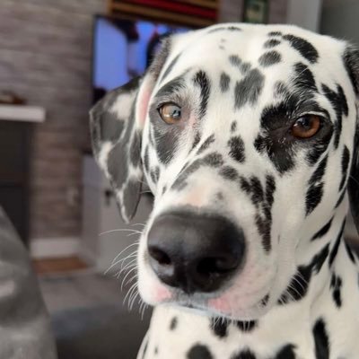 bfd389's profile picture. 