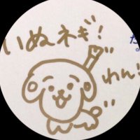 いぬネギ☆(@neginigimani) 's Twitter Profile Photo