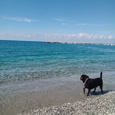 MarianPavia's profile picture. You may say I'm a dreamer
But I'm not the only one.