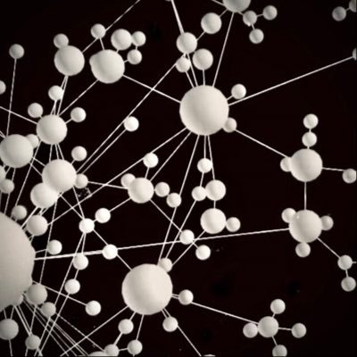 studying the complexity of nature through theory, reflection, imagination, computation, interaction, and emergent phenomena.