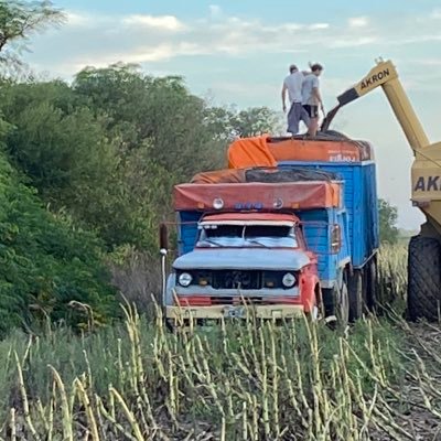 productor agropecuario