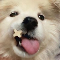 3เมล ว่าง🟢 (@foresttqx) 's Twitter Profile