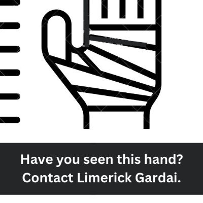 The Irish Council of Civil *Liberty* supports punitive censorship, gagging of the Irish people, their subjugation & replacement with 3rd world criminals