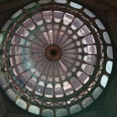 curiosa_1805's profile picture. 