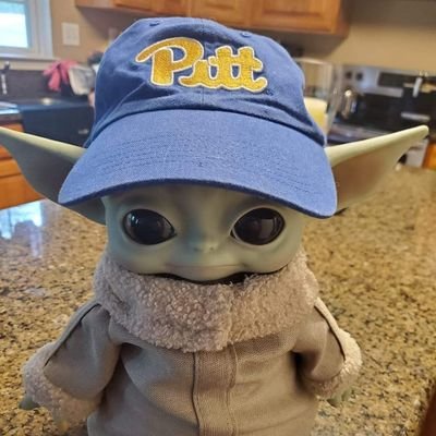 Pitt and Pirates Fan