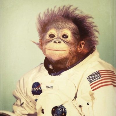 DiamondBalls369's profile picture. 