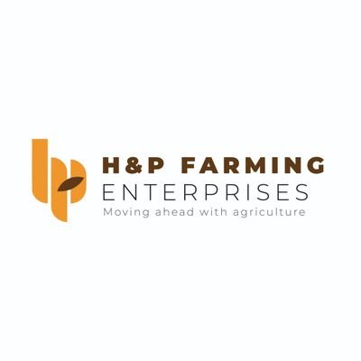 H and P is a multifaceted company at the forefront of sustainable agriculture, offering premium mushroom products, organic spices, and a selection of plants.