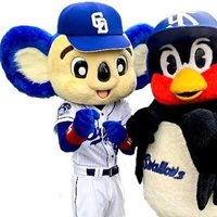 ドラねこ＠竜党 (@doraneko3351) 's Twitter Profile