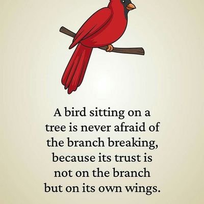 Oraf44's profile picture. You didn't see hustle and bustle the global  warming on the world 
get up, get up to sleep and do something you can do cause  the future  our children