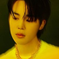 JIMIN-PJπ₯π (@btsjkpj) 's Twitter Profile