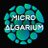 @MicroAlgarium