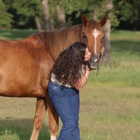 ProFoalWrangler©️ (@saddlexsore) 's Twitter Profile
