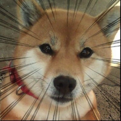 jyakin21's profile picture. わんわんお！！