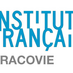 Institut fr Cracovie (@ifcracovie) Twitter profile photo