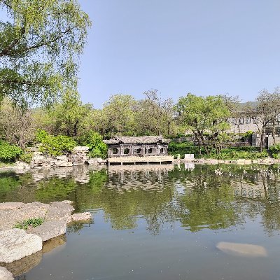 mrumn389790's profile picture. 