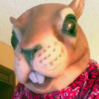 Mr. Steve Ross (@storytimesteve) 's Twitter Profile Photo Mr. Steve Ross (@storytimesteve) 's Twitter Profile Photo
