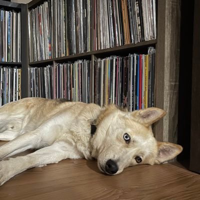 Crawlbackin's profile picture. Negative.