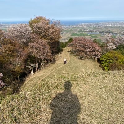 立命　地域研究 チュニドラ