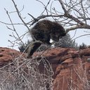 Avery Thompson - @AlanDeez_37 - Twitter