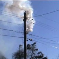 Poll Smoker. (@poll_smoker) 's Twitter Profile