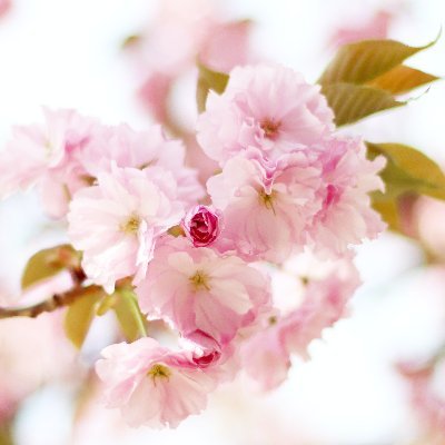 khim_tweets's profile picture. random tweets about #business #healthtyliving