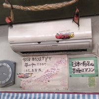 夢の中へ(スパゲティ 沼津) (@intothedream85) 's Twitter Profile