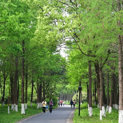 wonderWong21708's profile picture. Ph.D./Researcher/Digital Entrepreneurship/Empathy