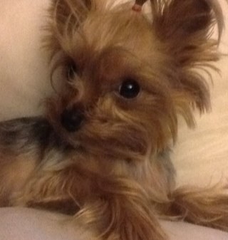 postoronnimV1's profile picture. 