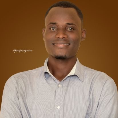 ProsperAgossou1's profile picture. 